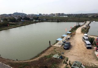 Five仔钓鱼娱乐场