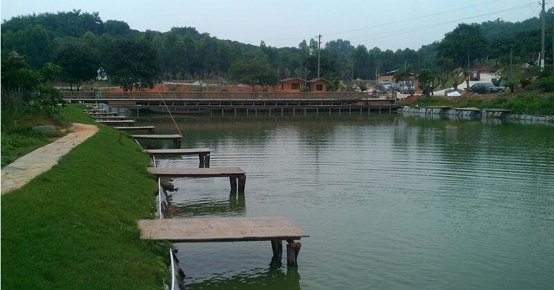 渔乐农庄海钓场