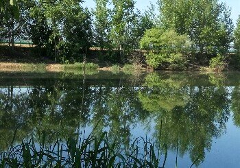 光东海兰江钓鱼台