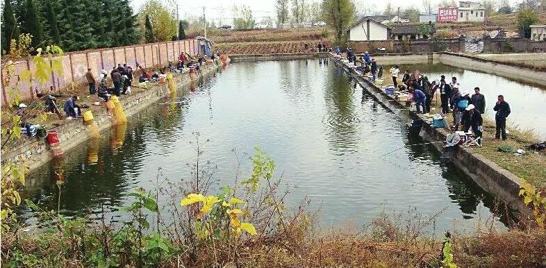 四十里店休闲垂钓园