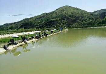 黄陵刘家河鱼池