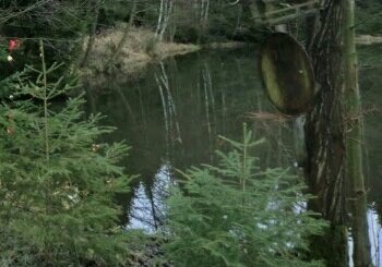 阳化桥休闲垂钓园