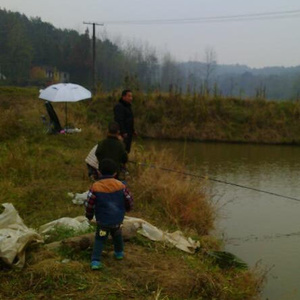孔明湖龙虾基地鱼塘垂钓园