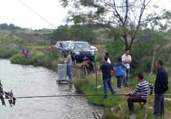 黄陂区卫湾小喻钓鱼塘