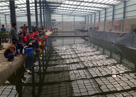 陈营村冬钓大棚