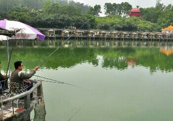 龙庭沙场垂钓中心