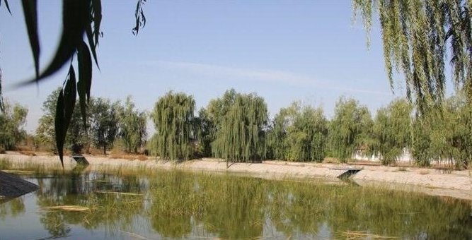 老张家庭农场（农家乐）