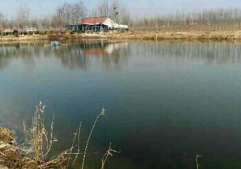 北里湿地钓鱼场