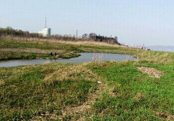 纱帽江滩边野塘