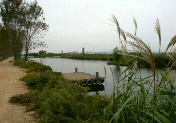 桑沟湾湿地公园