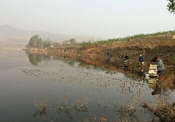 张家庄子村鱼塘