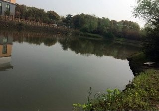 北国之春度假村天塘