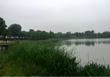 尚贤河湿地公园