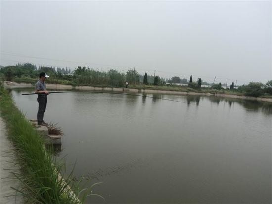 金聚缘垂钓中心