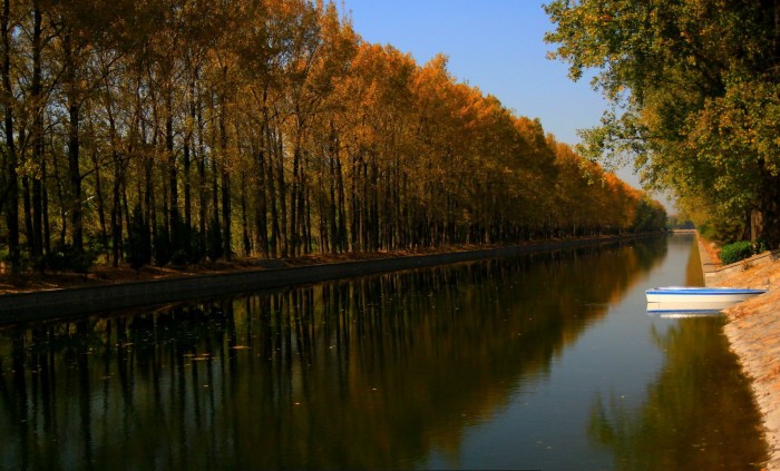 赵连庄乡二排干