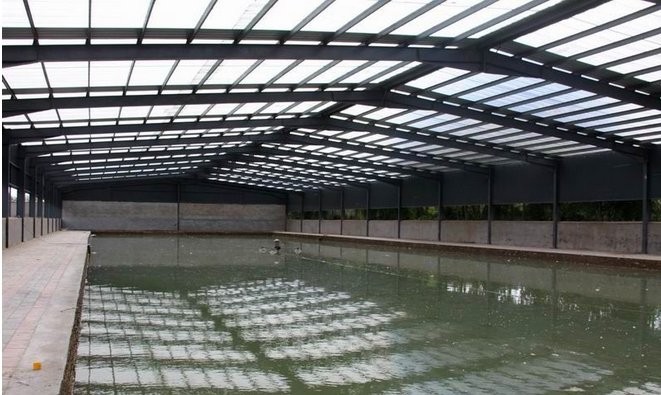 大王台温室垂钓园