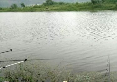 刘家浩野钓场