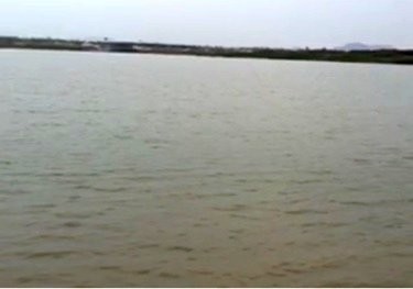 东部新区人工湖