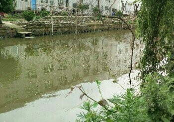 岱石村后面的野河