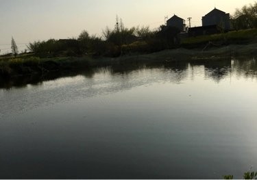 刘家桥休闲垂钓中心