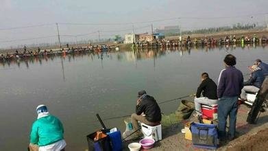 创新五路垂钓园