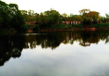 高坎胖哥垂钓园