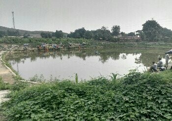 鹿泉碧顺发钓场