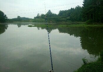 大波生态农庄钓鱼场