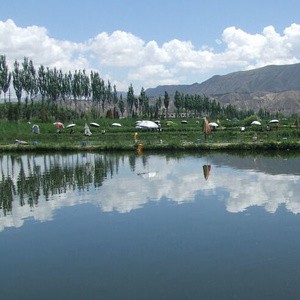 浏河小六垂钓场