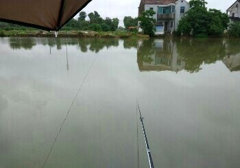 黄埭汤浜垂钓园