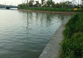 西塘河三岛公园段