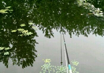 渭塘木桥头骑河村钓点