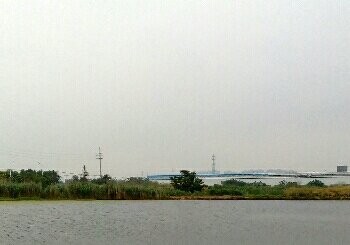 沿沪大道西侧河