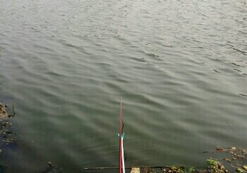 太湖湿地周边野塘