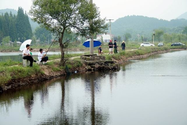宝山现代农业园区垂钓中心