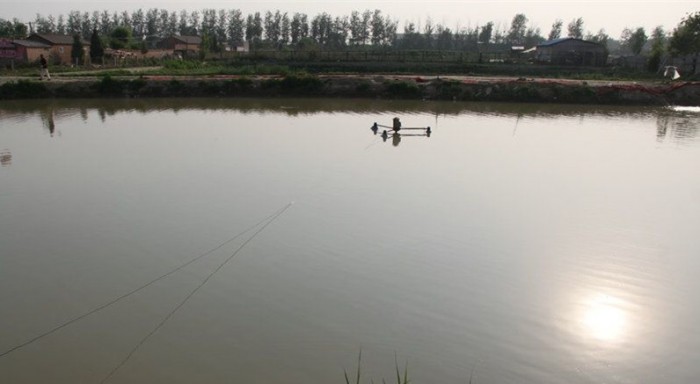 原生态垂钓中心