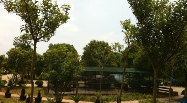 香豪小镇农家乐