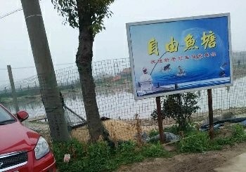 自由鱼塘