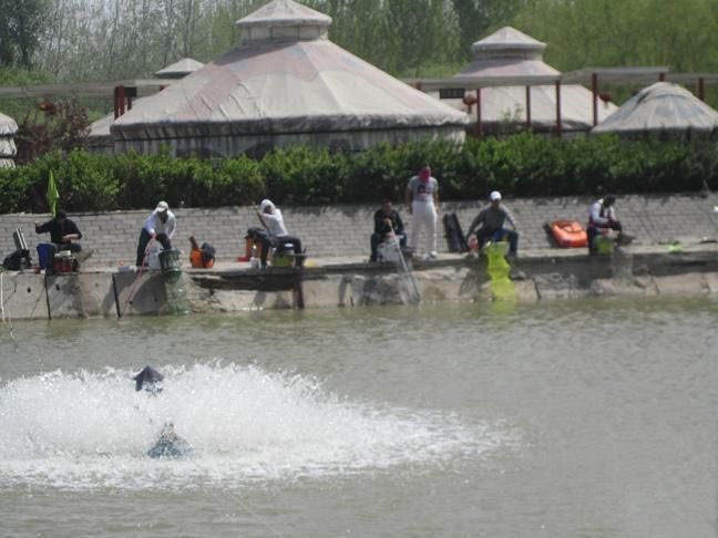 中新农业泰生示范农场-钓鱼区