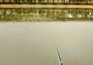 张家浜金桥路段