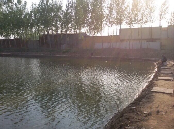 天马公墓小杨鱼塘