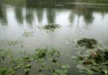 惠家沈马庄拦河大坝