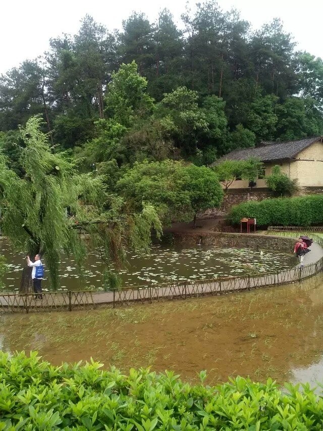 卢龙五里台大棚