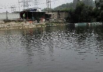 水库青鱼钓场