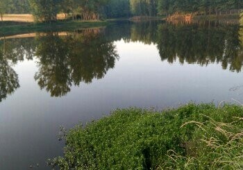 李庄东杨庄小水库