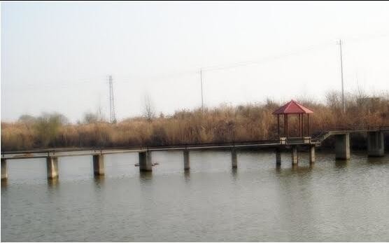 龙云垂钓休闲中心