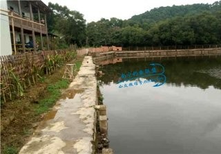 相思湖钓鱼岛钓场