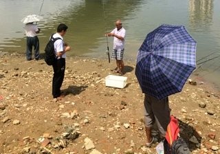 邕江葫芦鼎大桥