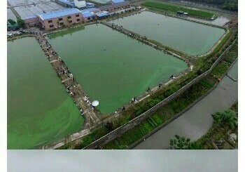 九龙农场垂钓中心