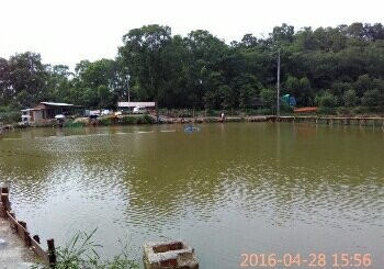 金牛钓场